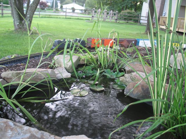 bushkillnorthern072306054.jpg